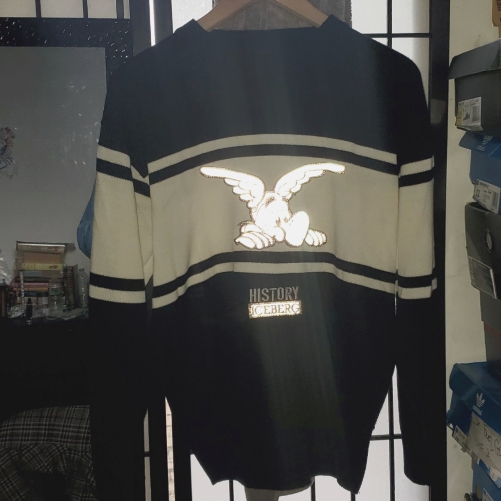 Iceberg history vintage sweater